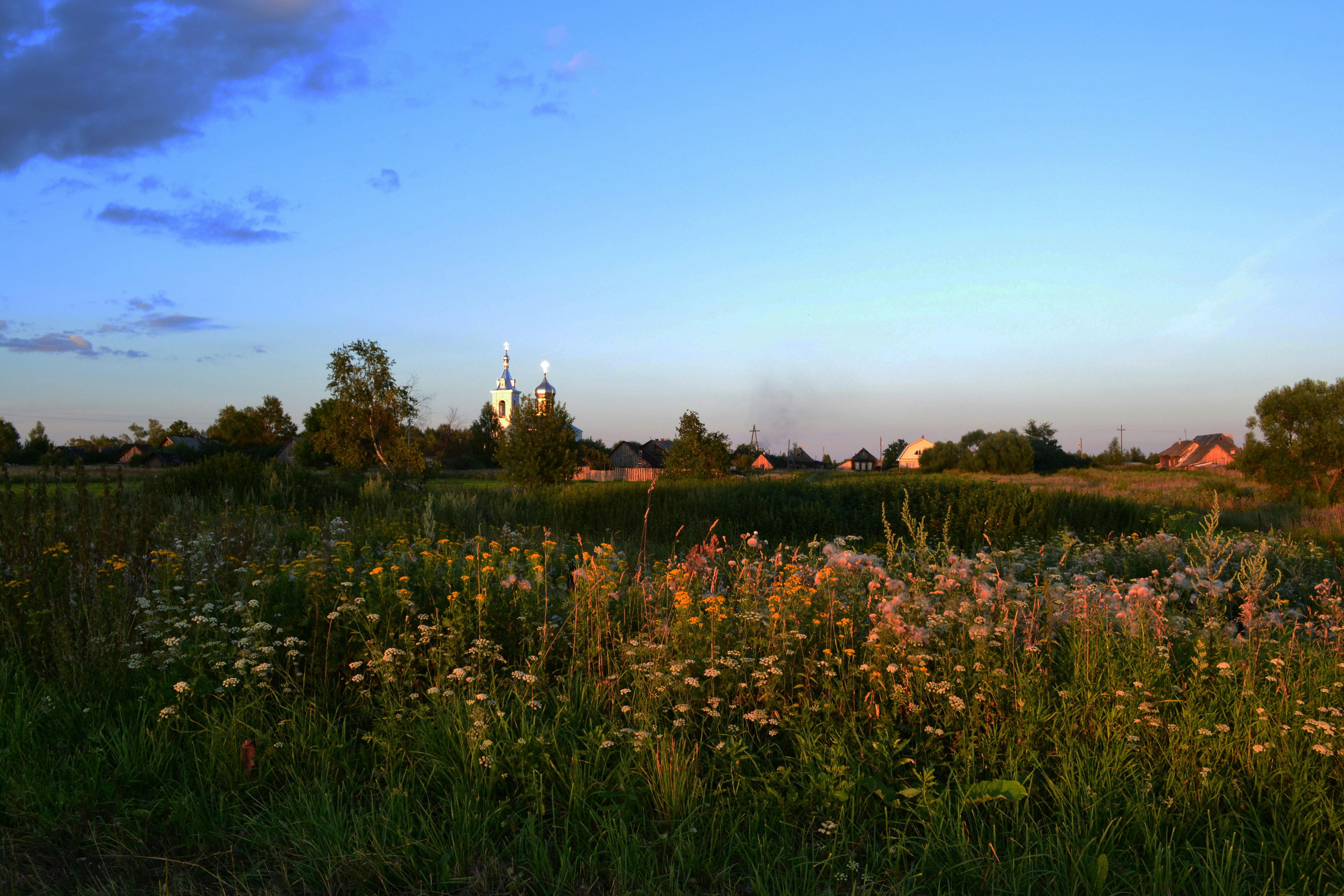Село Волково